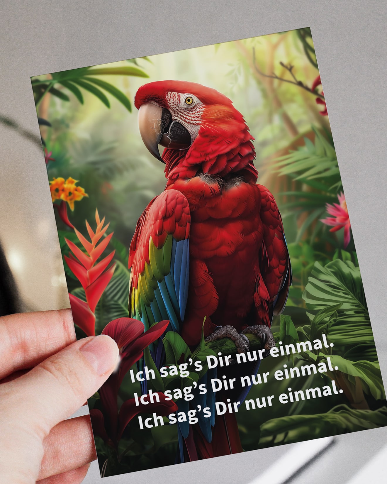 KVG_13